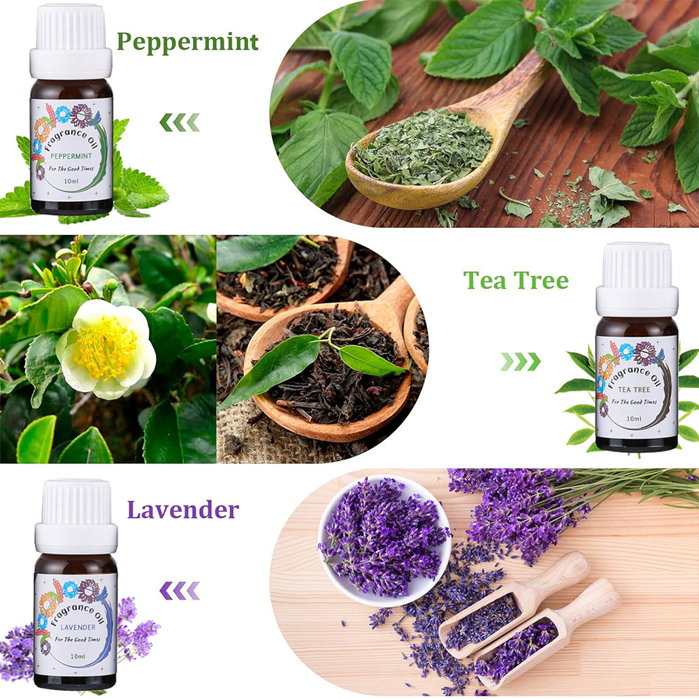 Essential Oils for Diffusers f - Home Fragrance Lemongrass review and price